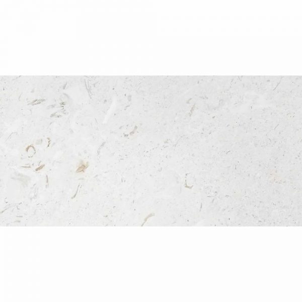 Shell-Beige-Limestone-Paver-24x48-product-pic