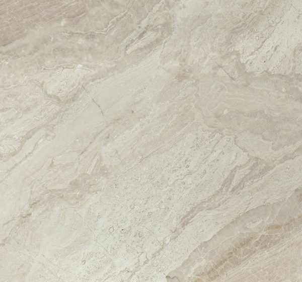 Fantastic-Royal-36x36-Marble-Tile-Product-Pic
